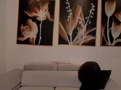 Amateur Private Sex Chat of LiamCarter