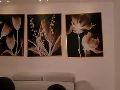 Amateur Free Porn Cam of NiaSalvatore