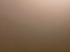 Amateur Sex Cam of Shopie_Colucci
