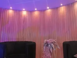 Amateur Free Live Porn of SophieBarnett