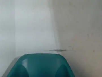 Bongacams Adult Video Chat of Sugarxpussy