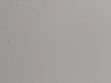 Bongacams Free Live Porn of Pussybloom