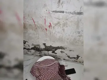 Bongacams Live Porn of Tunnidelhi