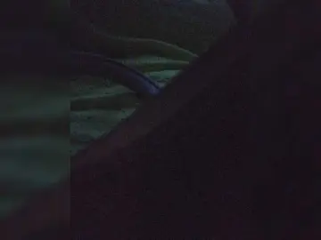 Bongacams Free Porn Cam of EditaMilf