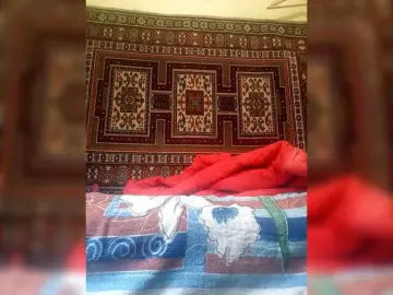 Bongacams Live Porn of Cekun