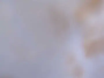 Bongacams Watch Live Sex Cams of KittySexxy