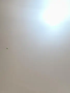 Cam4 Free Live Porn of Daddyslut4u