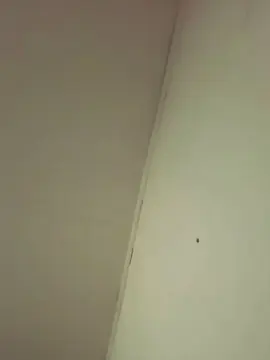 Cam4 Sex Cam of Camilitaxxxxxxx