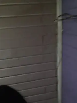 Cam4 Best Webcam of zorrita1