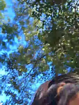 Cam4 Sex Cam of Mssady