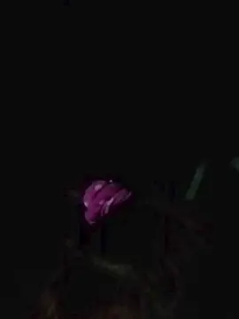 Cam4 Live Porn of morena652