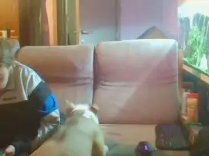 Cam4 Best Webcam of dauphine197999