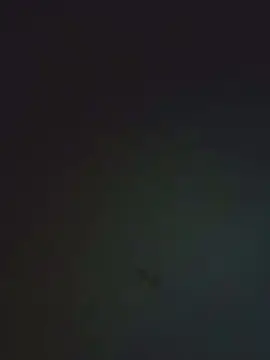 Cam4 Best Webcam of HAIRY_PUSSY_fr