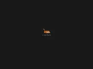 Cam4 Live Sex of snow_girl04