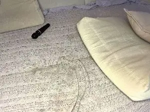 Cam4 Live Sex of SHY_XOXO