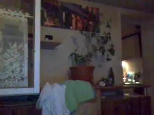 Cam4 Best live sex cam show of Tannileinchen3