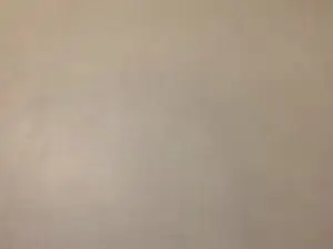 Cam4 Live Sex of Javierapalacios