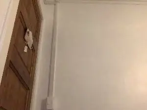 Cam4 Live Porn of Javierapalacios