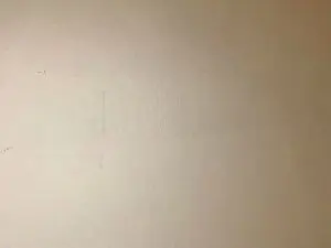 Cam4 Nude Webcam of Javierapalacios