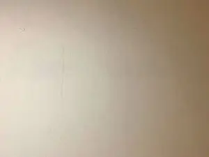 Cam4 Best live sex cam show of Javierapalacios