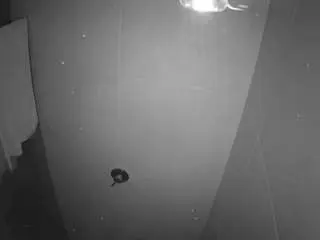 Camsoda Adult Webcams of voyeurcam-casa-salsa-bathroom-11