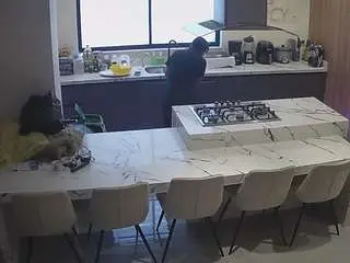 Camsoda Sex Cam of voyeurcam-casa-salsa-kitchen