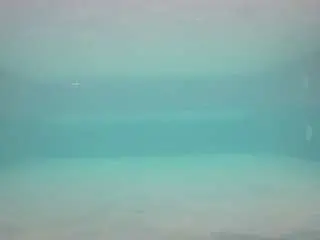 Camsoda Sex Cam of voyeurcam-casa-salsa-pool-1