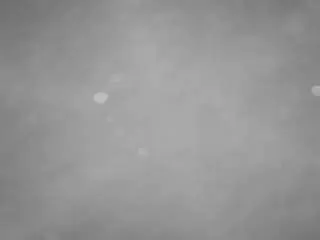 Camsoda Watch Live Sex Cams of voyeurcam-casa-salsa-pool-1