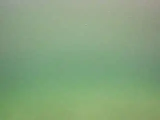 Camsoda Live Porn of voyeurcam-casa-salsa-pool-1