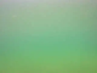 Camsoda Watch Live Sex Cams of voyeurcam-casa-salsa-pool-1