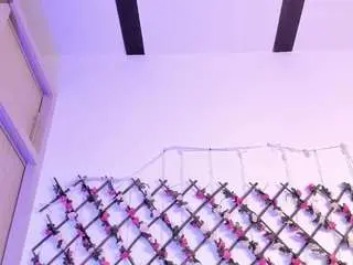 Camsoda Live Sex Cam of naughtyebonyy