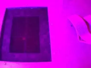 Camsoda Free Porn Cam of voyeurcam-casa-salsa-hottub-view