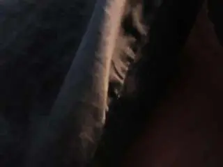 Camsoda Private Sex Chat of thaylanaa