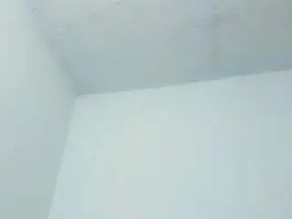 Camsoda Adult Video Chat of miiaponss