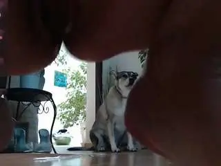 Camsoda Adult Webcams of squirtmania