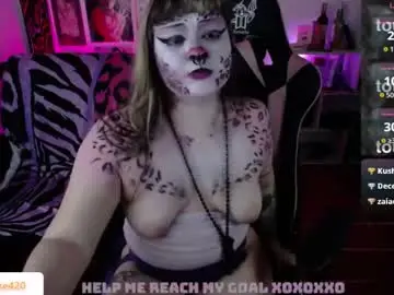 Chaturbate Best Webcam of destroyall420