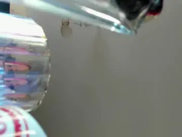 Chaturbate Watch Live Sex Cams of neon_baddie