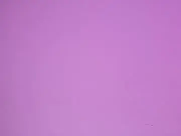 Chaturbate Adult Webcam of anais_delorme