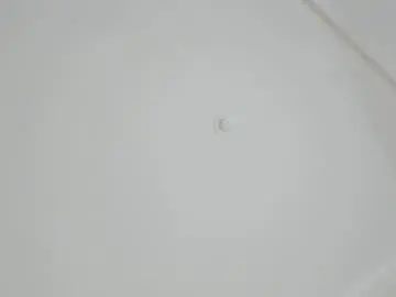 Chaturbate Adult Webcam of adelina_bliss