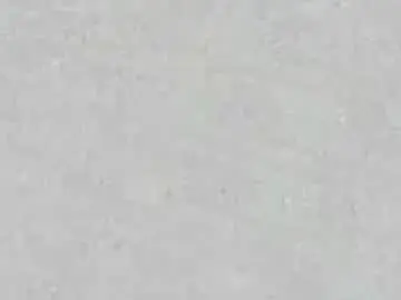 Chaturbate Best Webcam of carlotta_ricci