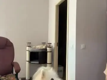 Chaturbate Free Porn Cam of sweetdreamvic