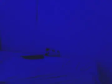 Chaturbate Watch Live Sex Cams of sammy_fox26