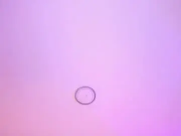 Chaturbate Best live sex cam show of celine_carter