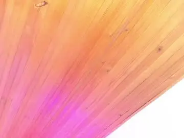 Chaturbate Nude Webcam of irisbeel