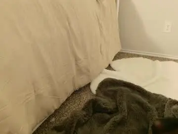 Chaturbate Live Porn of elisparadisex