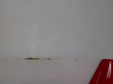 Chaturbate Best Webcam of chocolate_ass88