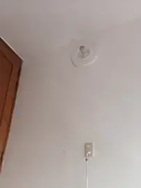 Stripchat Free Porn Cam of DanaaCollins