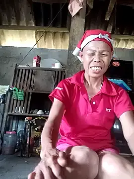 Stripchat Free Live Porn of BaoHan22