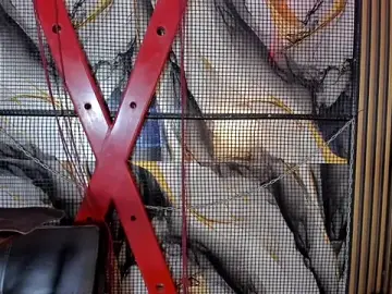 Stripchat Best live sex cam show of katizaldana