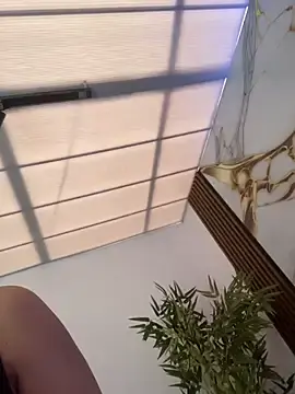 Stripchat Adult Webcams of kira_ec
